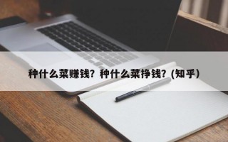 种什么菜赚钱？种什么菜挣钱？(知乎）