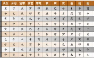 寅五行属什么，寅时五行属什么(2024头条知乎已更新）