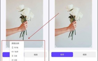 怎么调节照片尺寸，怎么调节照片尺寸JPG(2024头条知乎已更新）