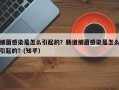 细菌感染是怎么引起的？肠道细菌感染是怎么引起的？(知乎）