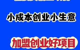 小本创业有哪些项目，40个小本创业项目推荐(2024头条知乎已更新）