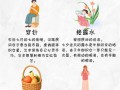 七夕有哪些风俗？七夕主要风俗？(知乎）