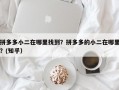 拼多多小二在哪里找到？拼多多的小二在哪里？(知乎）