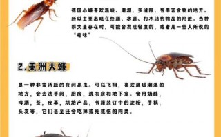 蟑螂怎么消灭，发现蟑螂怎么消灭(2024头条知乎已更新）