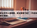 武义市中心是哪里，武义有哪个区？（今日头条已更新）