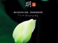 清明节又叫什么节，2018年清明节是哪一天(2024头条知乎已更新）