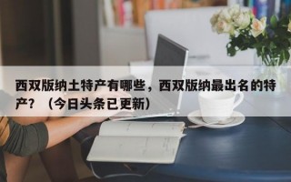 西双版纳土特产有哪些，西双版纳最出名的特产？（今日头条已更新）