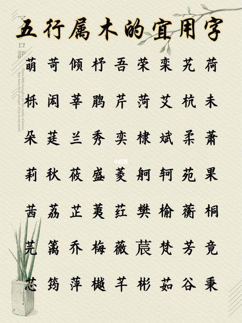 楠五行属什么?金丝楠五行属什么?(知乎)-第4张图片-汕团网 楠五行属什么?金丝楠五行属什么?(知乎)-第4张图片-汕团网