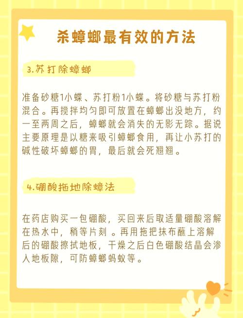 蟑螂怎么消灭,发现蟑螂怎么消灭(2024头条知乎已更新)-第2张图片-汕团网 蟑螂怎么消灭,发现蟑螂怎么消灭(2024头条知乎已更新)-第2张图片-汕团网