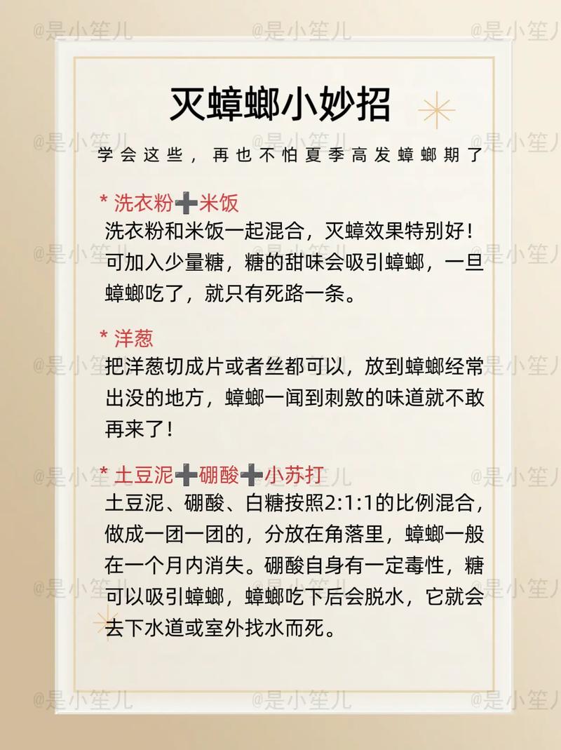 蟑螂怎么消灭,发现蟑螂怎么消灭(2024头条知乎已更新)-第3张图片-汕团网 蟑螂怎么消灭,发现蟑螂怎么消灭(2024头条知乎已更新)-第3张图片-汕团网