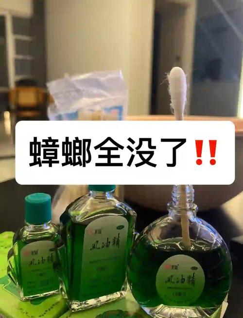 蟑螂怎么消灭,发现蟑螂怎么消灭(2024头条知乎已更新)-第6张图片-汕团网 蟑螂怎么消灭,发现蟑螂怎么消灭(2024头条知乎已更新)-第6张图片-汕团网