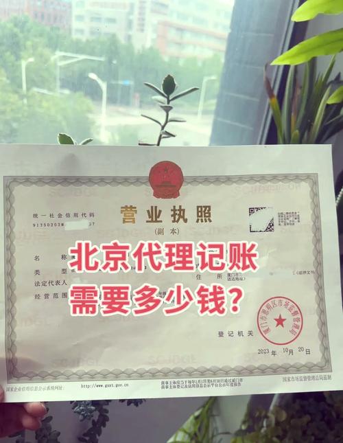 北京公司一年代理记账多少钱?-第1张图片-书同文历史百科 北京公司一年代理记账多少钱?-第1张图片-书同文历史百科