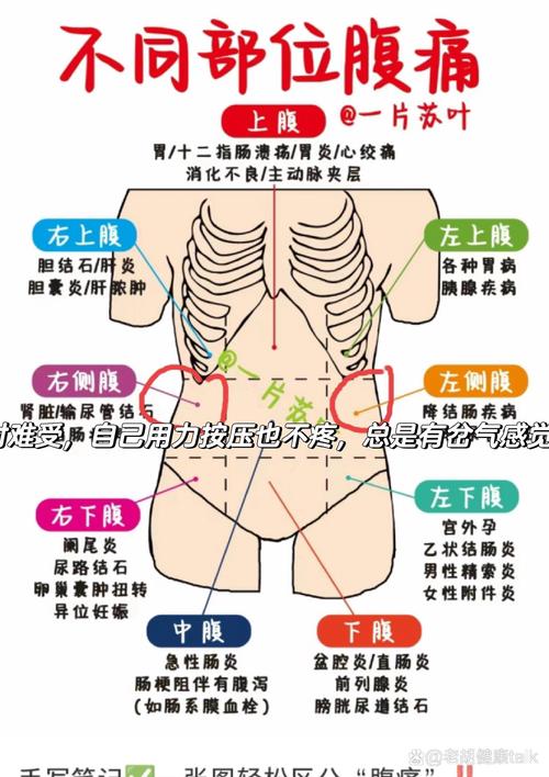 右肋骨疼是怎么回事?右肋骨疼是怎么回事??(知乎)-第1张图片-汕团网 右肋骨疼是怎么回事?右肋骨疼是怎么回事??(知乎)-第1张图片-汕团网