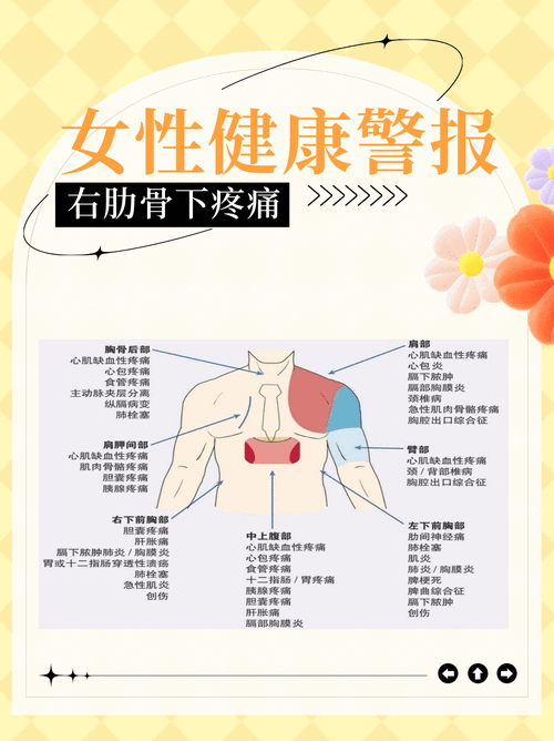 右肋骨疼是怎么回事?右肋骨疼是怎么回事??(知乎)-第4张图片-汕团网 右肋骨疼是怎么回事?右肋骨疼是怎么回事??(知乎)-第4张图片-汕团网