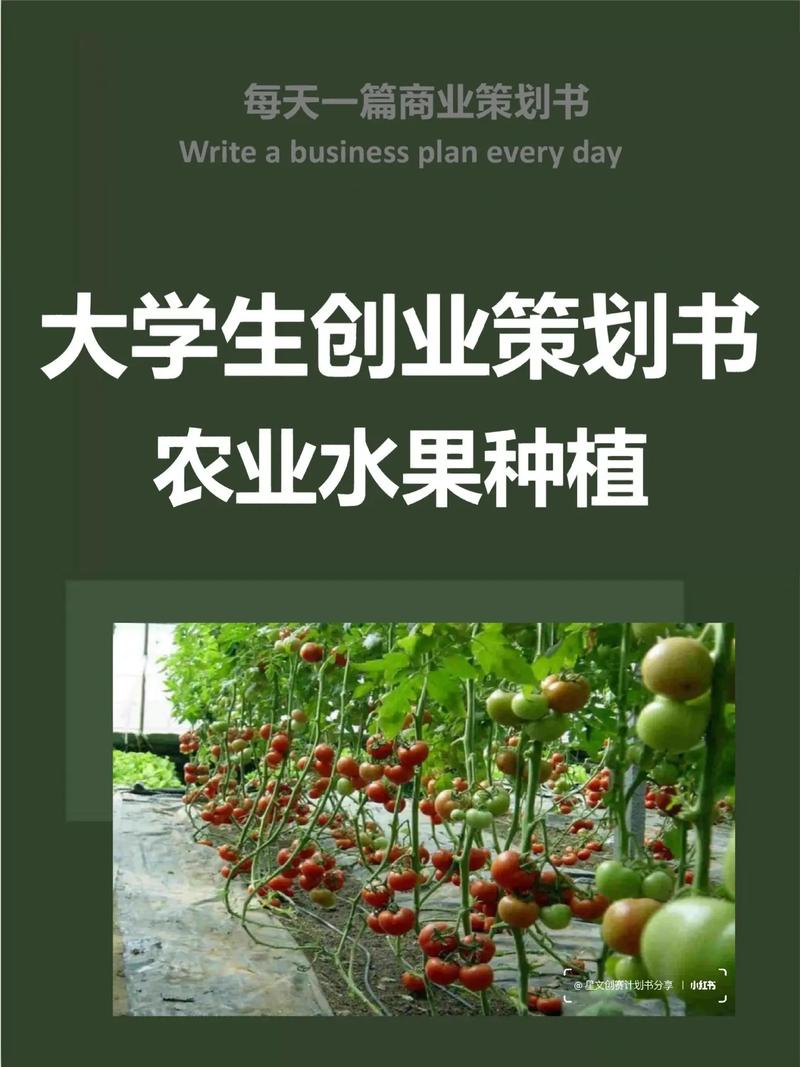 创业如何找项目,如何去找创业项目?(今日头条已更新)-第5张图片-汕团网 创业如何找项目,如何去找创业项目?(今日头条已更新)-第5张图片-汕团网