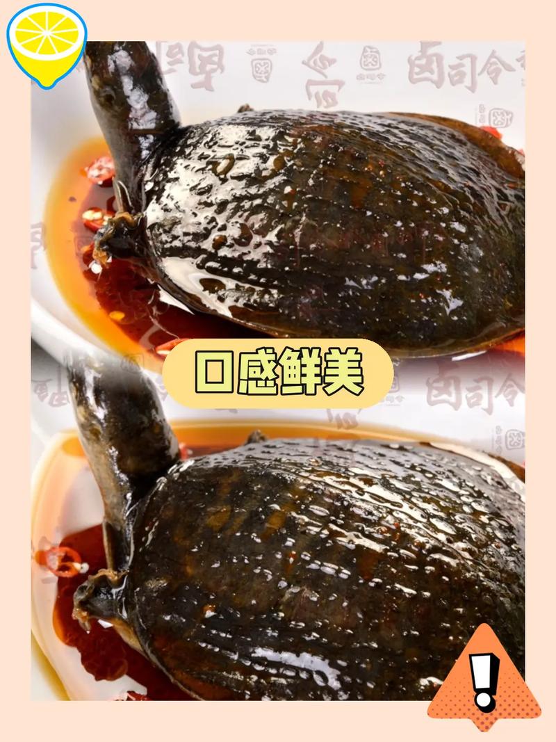 卤司令加盟费多少?卤师傅加盟连锁店?(知乎)-第2张图片-汕团网 卤司令加盟费多少?卤师傅加盟连锁店?(知乎)-第2张图片-汕团网