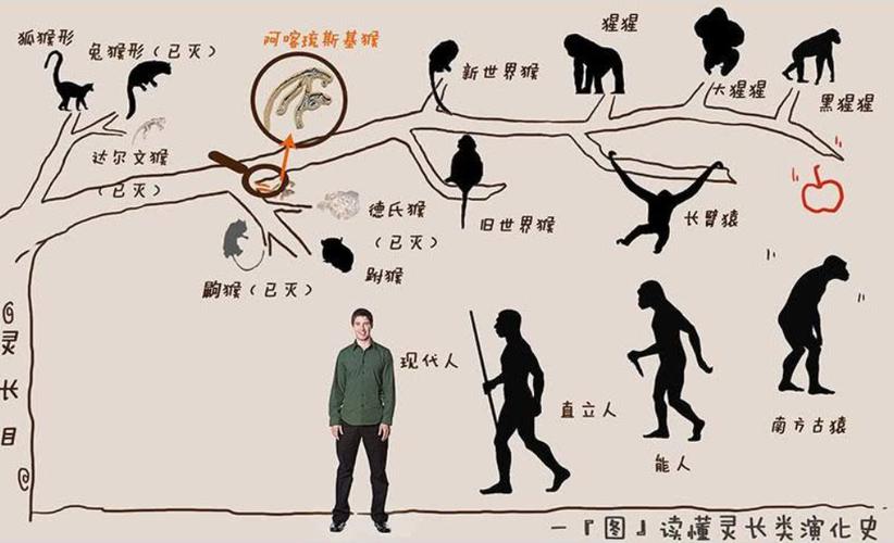 人类有多少年历史,人类多少年历史文明(2024头条知乎已更新)-第2张图片-汕团网 人类有多少年历史,人类多少年历史文明(2024头条知乎已更新)-第2张图片-汕团网