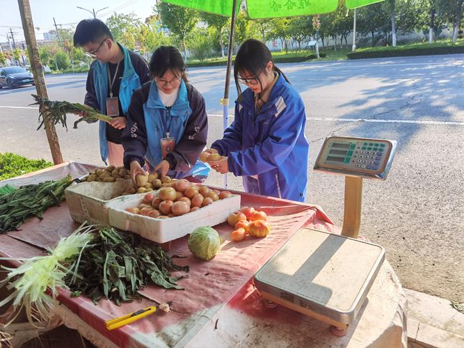 市场调查怎么做?市场调查怎么做PPT?(知乎)-第4张图片-汕团网 市场调查怎么做?市场调查怎么做PPT?(知乎)-第4张图片-汕团网