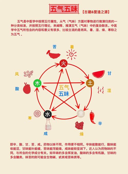 超五行属什么,超五行属什么的(2024头条知乎已更新)-第5张图片-汕团网 超五行属什么,超五行属什么的(2024头条知乎已更新)-第5张图片-汕团网