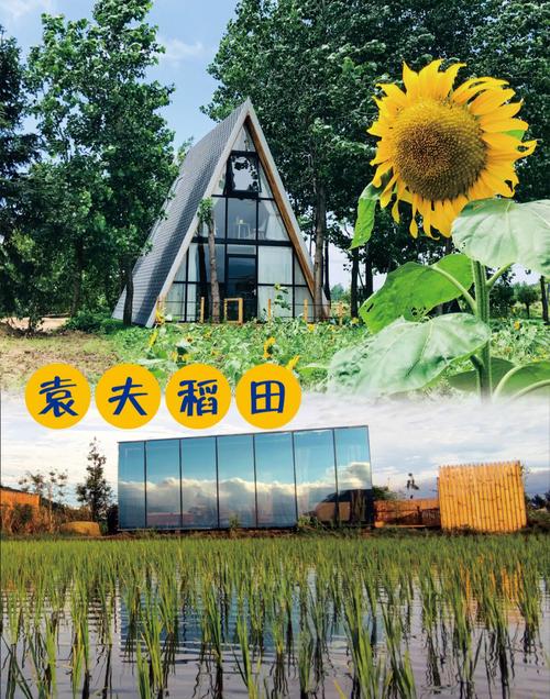 袁夫稻田在哪里,袁夫稻田一日游(2024头条知乎已更新)-第2张图片-汕团网 袁夫稻田在哪里,袁夫稻田一日游(2024头条知乎已更新)-第2张图片-汕团网