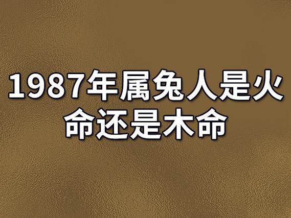 87年五行属什么，87年五行属什么金木水火土？（今日头条已更新）-第5张图片-汕团网