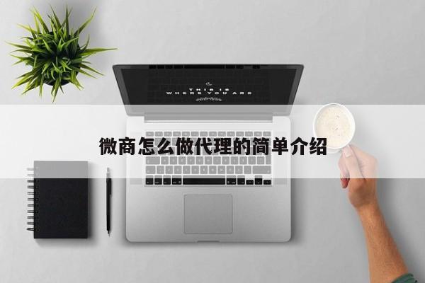 微商怎么做代理的简单介绍-第1张图片-书同文历史百科