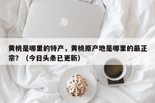 黄桃是哪里的特产，黄桃原产地是哪里的最正宗？（今日头条已更新）-第1张图片-汕团网
